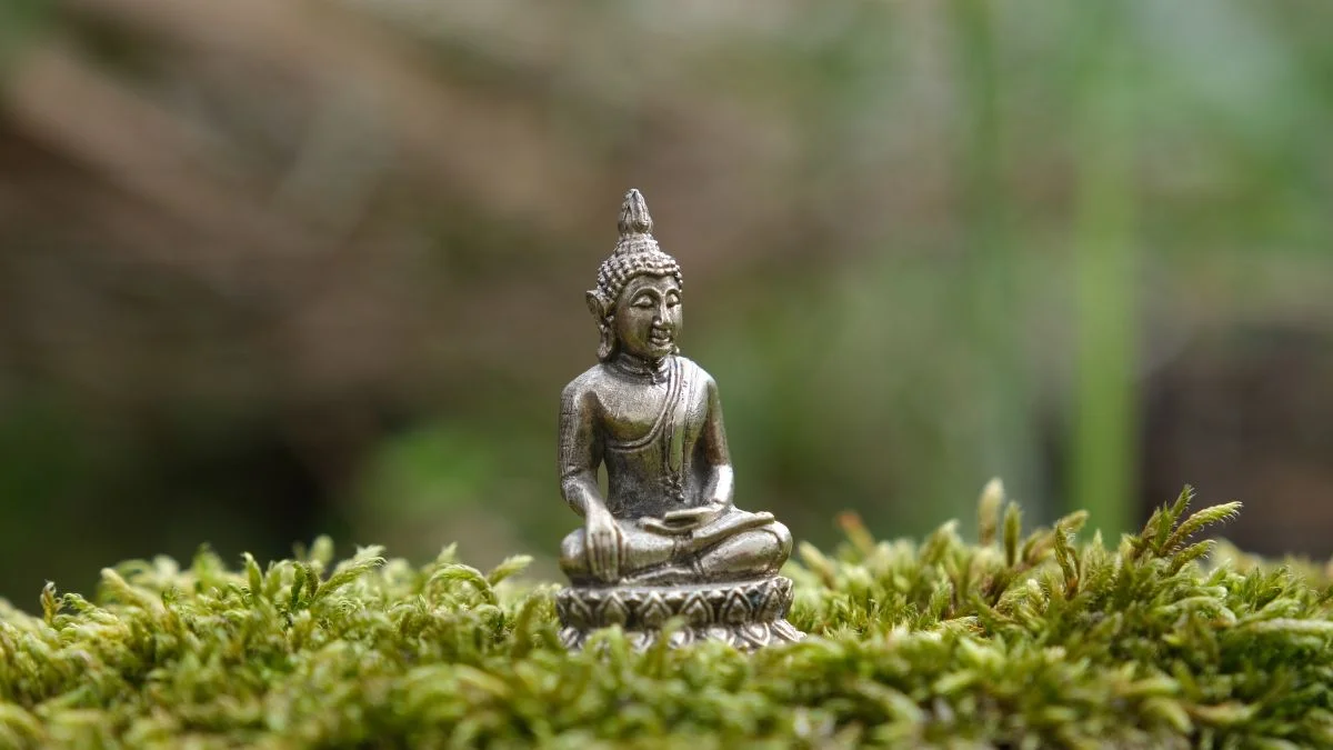 Feng Shui: como harmonizar sua casa e atrair boas energias para o dia a dia